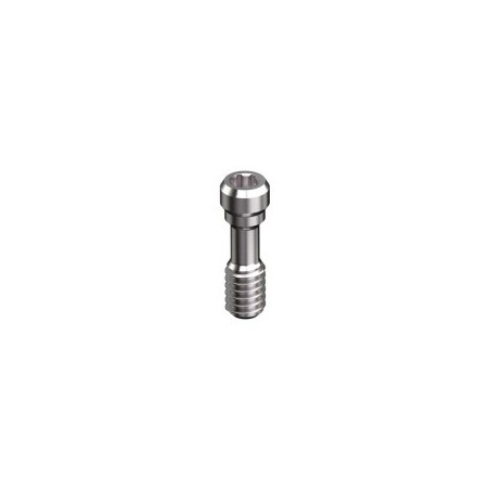 NOBEL BIOCARE, NOBELACTIVE, Screw M2 (unigrip) RP 4.3