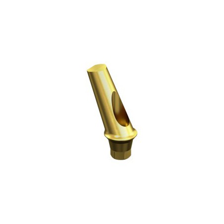 OSSTEM, TS/ HIOSSEN, ET Angled Abutment 25º STD