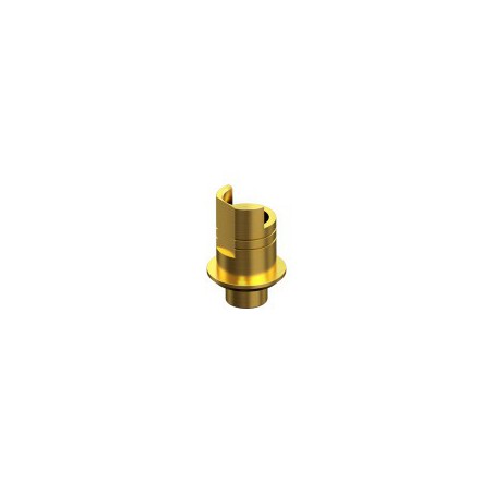 ZIMMER, SCREW-VENT, Non-Engaging Interface Abutment RP 4.5