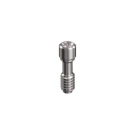 STRAUMANN, TISSUE LEVEL, Screw direct to implant M2 (Torx) WN 6.5