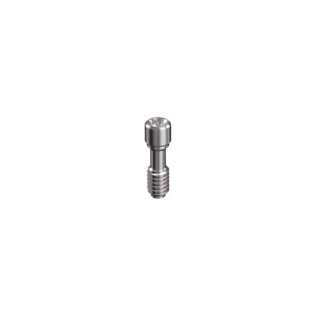 STRAUMANN, TISSUE LEVEL, Screw direct to implant M2 (Torx) WN 6.5