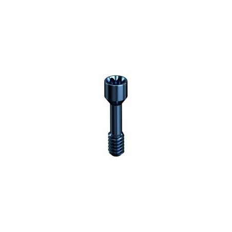 NOBEL BIOCARE, NOBELACTIVE, Screw Smart Angle H. 2mm/3mm NP 3.5