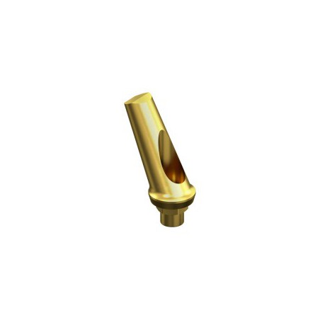 BIOMET 3i, CERTAIN, Angled Abutment 25º RP 4.1