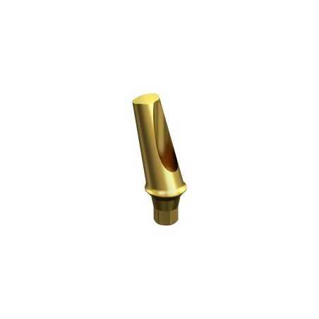 OSSTEM, TS/ HIOSSEN, ET Angled Abutment 15º MINI