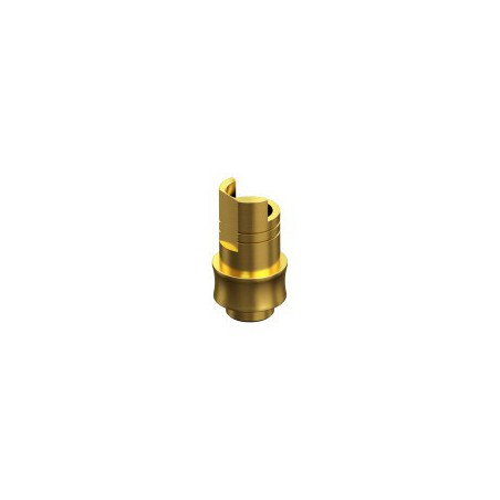 BIOMET 3i, CERTAIN, Non-Engaging Interface Abutment HG 2mm RP 4.1