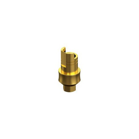 BIOHORIZONS, Engaging Interface Abutment HG 2mm 3.5