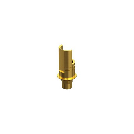 BIOMET 3i, CERTAIN, Engaging Interface Abutment HG 2mm RP 4.1