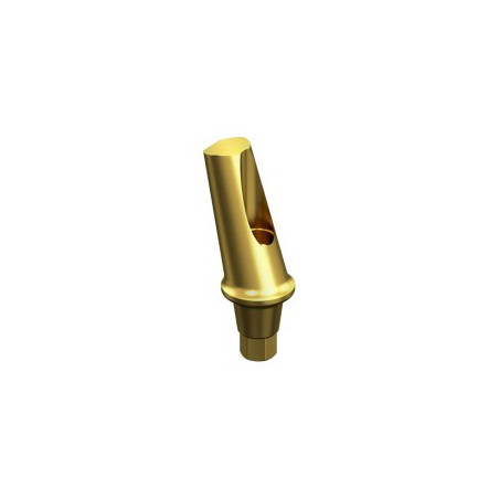 NEODENT GM, (Helix GM, Drive GM, Titamax GM) Angled Abutment 15º