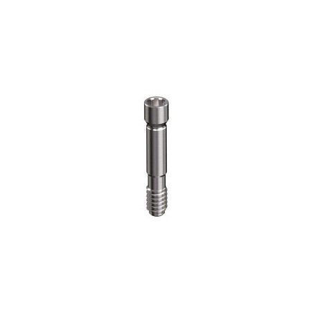 NEODENT GM, (Helix GM, Drive GM, Titamax GM) Screw M1.6 (Neo)