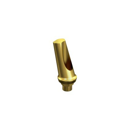 BIOMET 3i, CERTAIN, Angled Abutment 15º RP 4.1