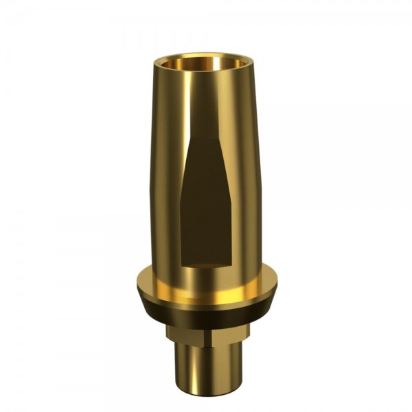 BIOMET 3i, CERTAIN, Straight Engaging Abutment WP 5.0