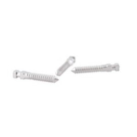 Titanium Screw Post, Long, No. 4