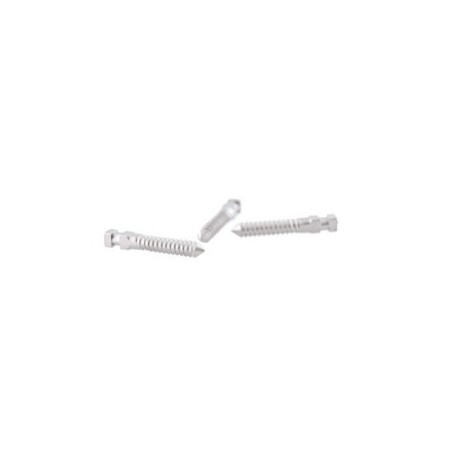 Titanium Screw Post, Long, No. 4