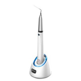 ENDO 1, Endo Activator Ultrasonic