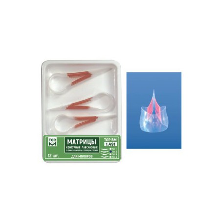 Self-Adhesive Matrices, Transparent, Molar, Bilateral