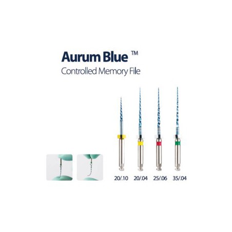 Controlled Memory File, Aurum Blue Assorted 21mm