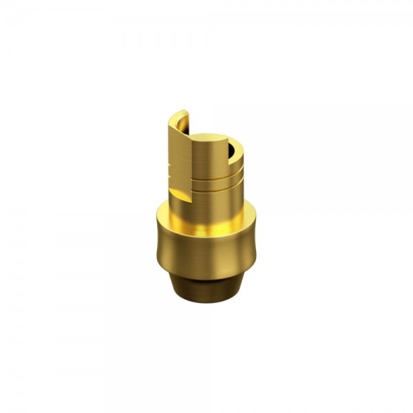 STRAUMANN, BONE LEVEL, Non-Engaging Interface Abutment HG 2mm RC 4.1