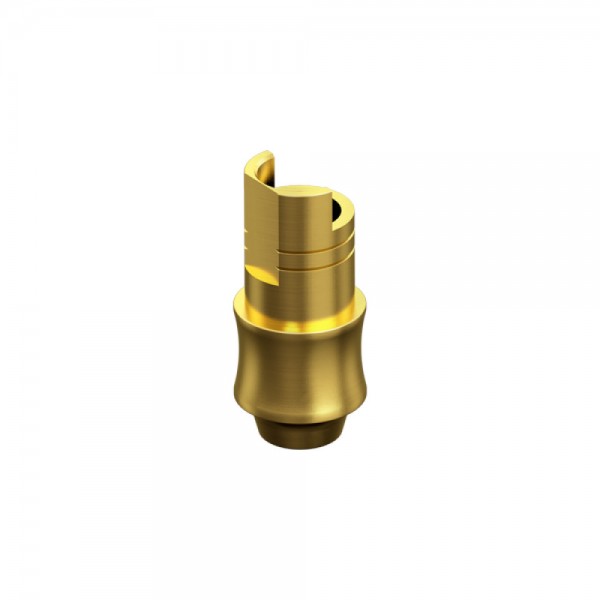 STRAUMANN, BONE LEVEL, Non-Engaging Interface Abutment HG 3mm NC 3.3
