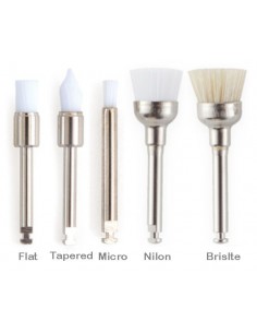 Disposable  Prophy Brushes