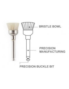 Disposable  Prophy Brushes