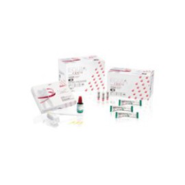 EQUIA Forte Glass Ionomer Capsule B3 Introductory Kit Ea