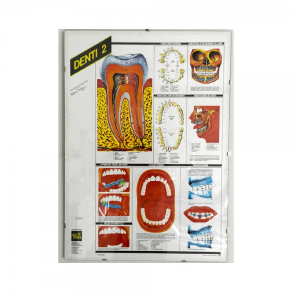 Dental Poster DENTI 2