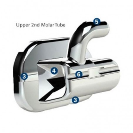 Accent Mini Buccal Tube, MBT U7R, .022 (-14/0/+10)