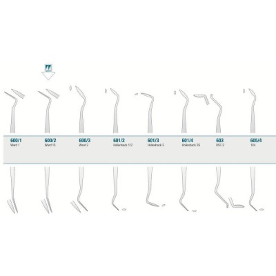 Amalgam/Composite Carver Ward 1S